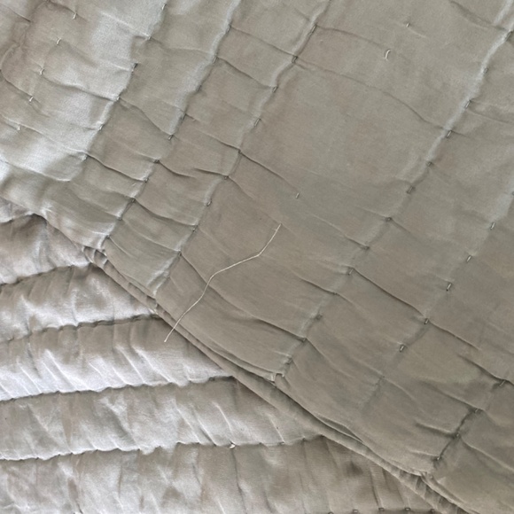 Pottery Barn Silk Pillow Shams - Standard (Set of 2) - Picture 2 of 3